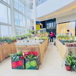 Flores e promoções são atrações de março no Paulista North Way Shopping