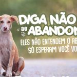 Férias de Julho: Diga não ao abandono de animais – “Eles não entendem o abandono. Só esperam você voltar.”