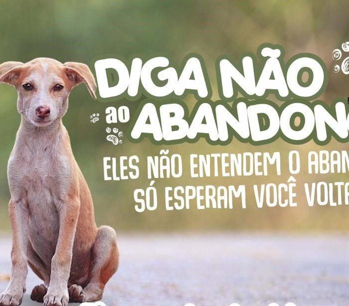 Férias de Julho: Diga não ao abandono de animais – “Eles não entendem o abandono. Só esperam você voltar.”