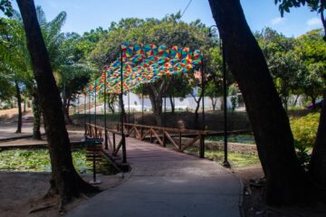 Entre blocos e sabores, Olinda Dá Gosto se firma como ponto gastronômico do Carnaval