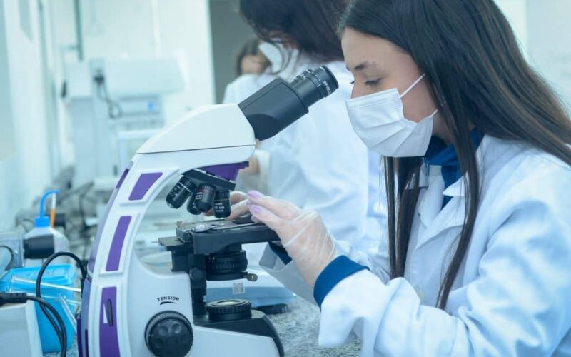 Pesquisadoras em Química conquistam o Prêmio Ester Sabino 2026