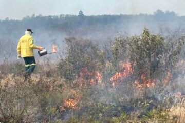 SP realiza queima controlada para evitar incêndios em áreas de conservação