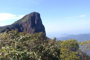 Trilha do Pico do Corcovado em Ubatuba ganha novas opções de monitoria e melhorias na reabertura em SP
