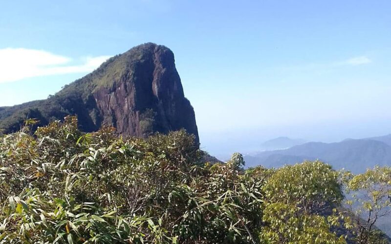 Trilha do Pico do Corcovado em Ubatuba ganha novas opções de monitoria e melhorias na reabertura em SP
