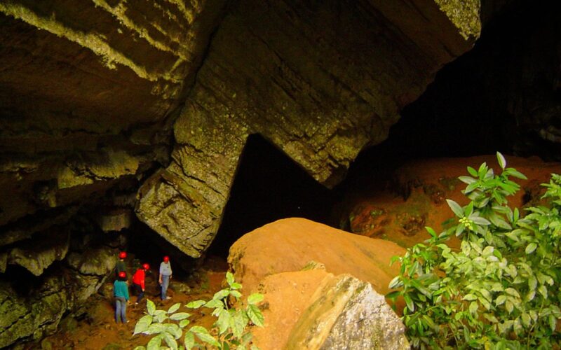 Vale do Ribeira se destaca no Guia de Ecoturismo e Observação de Fauna de São Paulo