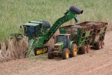 Agro de São Paulo alcança superávit de US$ 6,45 bilhões entre janeiro e abril de 2026