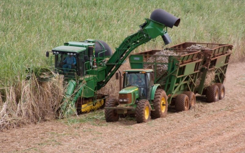 Agro de São Paulo alcança superávit de US$ 6,45 bilhões entre janeiro e abril de 2026