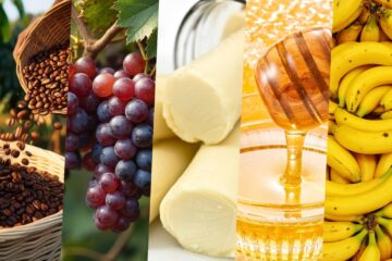 São Paulo aumenta em duas vezes a emissão de ‘selo’ que pode elevar em até 50% o valor da produção agrícola
