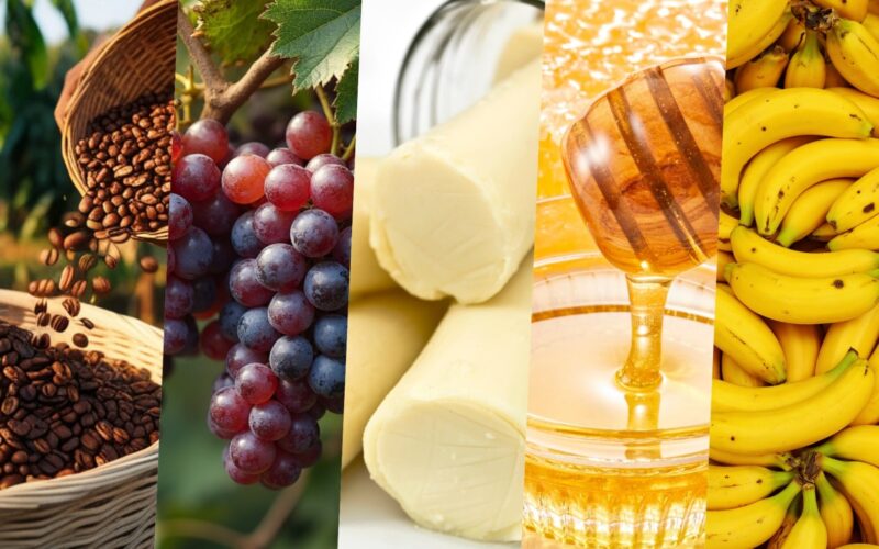 São Paulo aumenta em duas vezes a emissão de ‘selo’ que pode elevar em até 50% o valor da produção agrícola