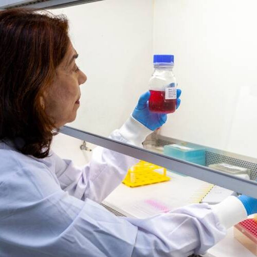 Teste genético sem custo para casais que desejam ter filhos é lançado com apoio da Fapesp
