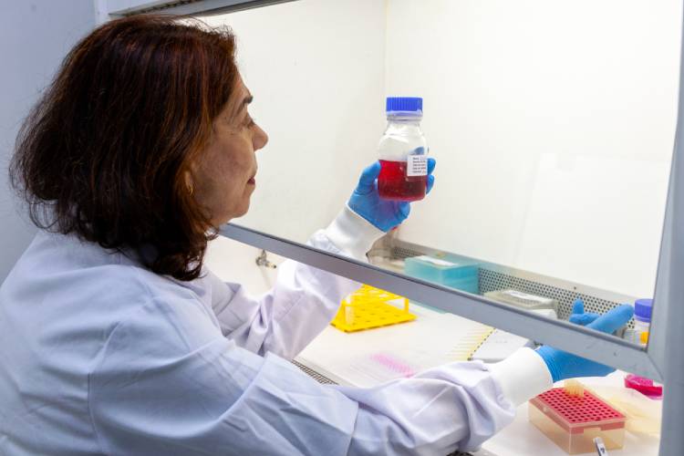 Teste genético sem custo para casais que desejam ter filhos é lançado com apoio da Fapesp
