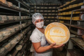 Queijo artesanal em São Paulo: crescimento e reconhecimento em nível estadual