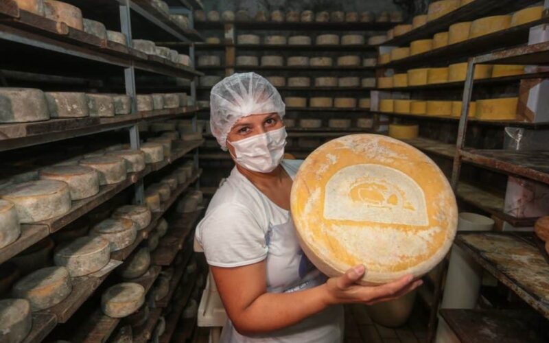 Queijo artesanal em São Paulo: crescimento e reconhecimento em nível estadual