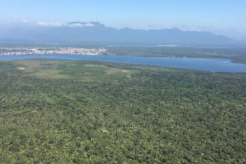 São Paulo revitaliza áreas de nascentes e rios com extensão equivalente a 9,5 mil campos de futebol desde o início de 2023