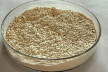 A revolução do feijão carioca: um superalimento rico em proteínas