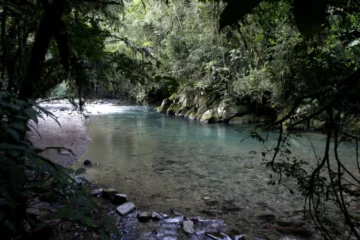Explorando o Verde: Descubra Roteiros de Ecoturismo com Trilhas e Parques Naturais